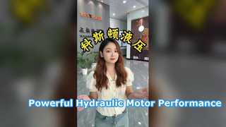 Video dimostrativo del motore idraulico
