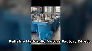 Fabbrica di motori idraulici